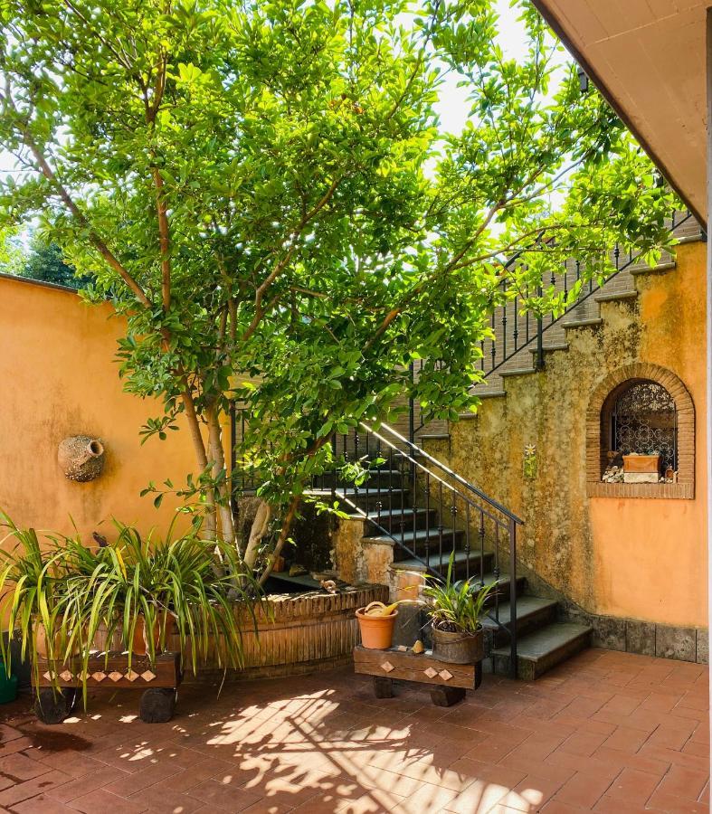 Villa Mariposa เน็ตตูโน ภายนอก รูปภาพ