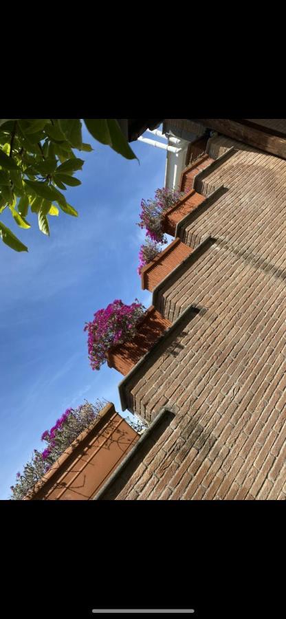Villa Mariposa เน็ตตูโน ภายนอก รูปภาพ